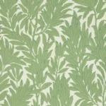 Alternative view of LAUREL LEAF