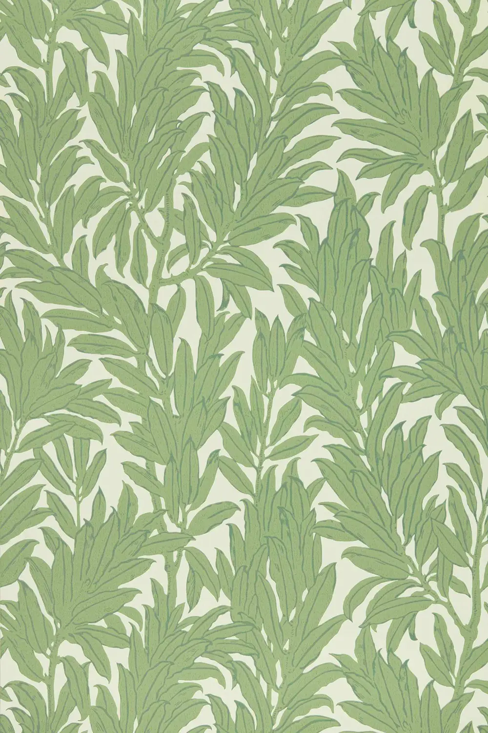 LAUREL LEAF – Image 2