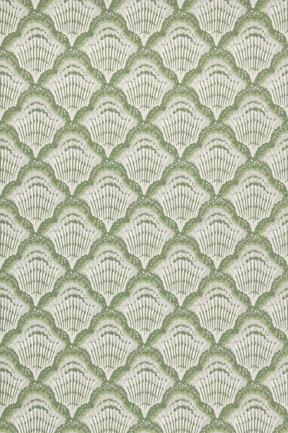 CALICO SHELL – Image 6