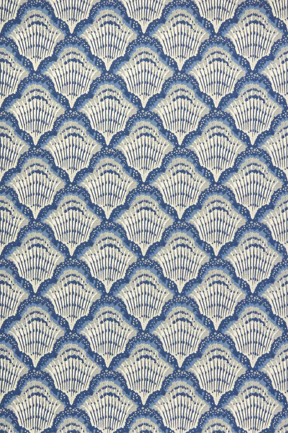 CALICO SHELL – Image 2