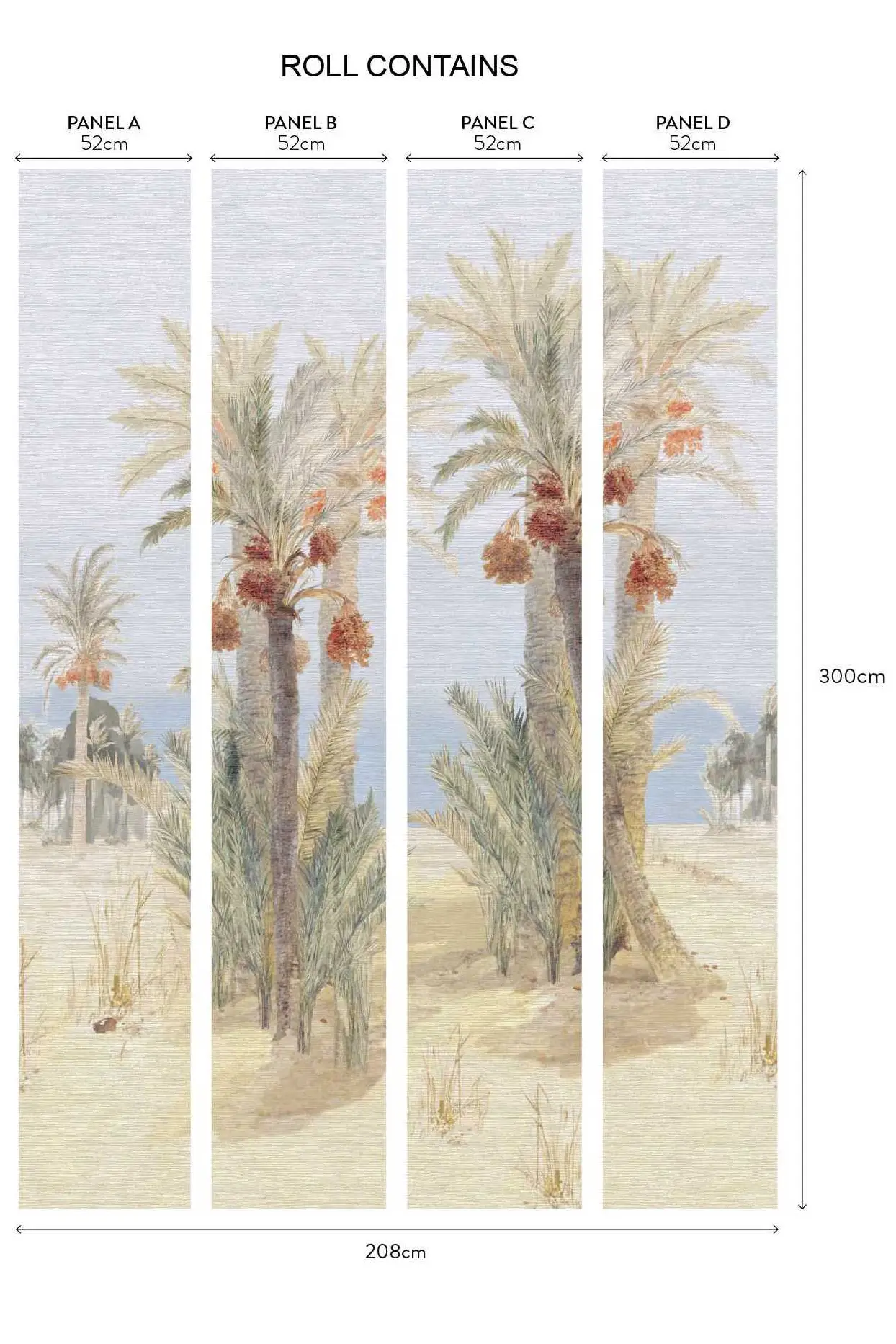 DATE PALM – Image 2