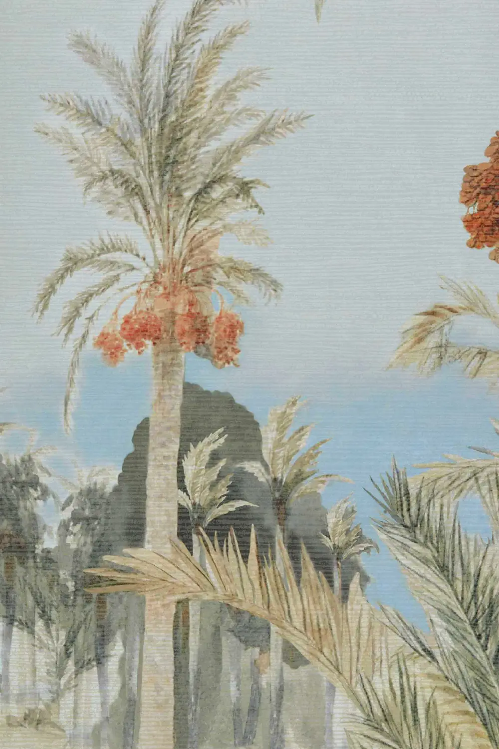 DATE PALM – Image 3