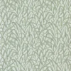 ORNAMENTAL GRASSES – Image 4