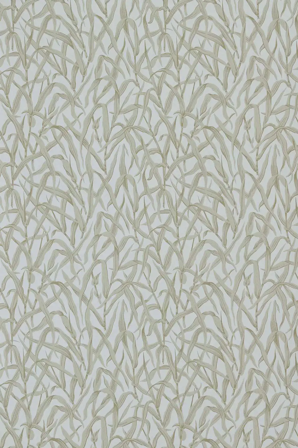 ORNAMENTAL GRASSES – Image 6