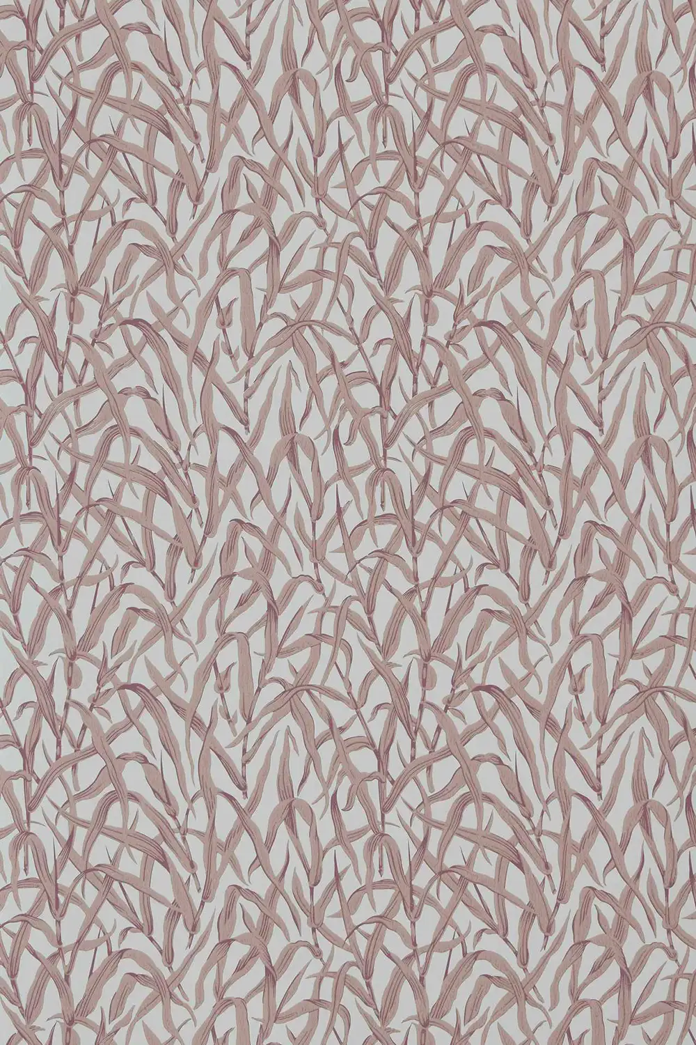 ORNAMENTAL GRASSES – Image 8