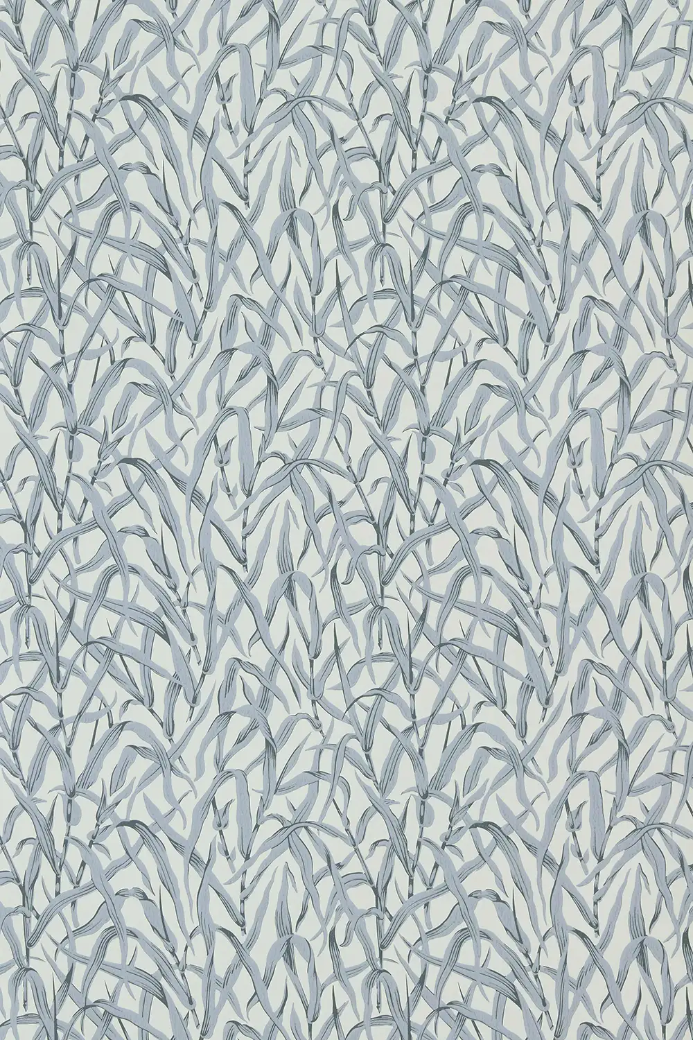 ORNAMENTAL GRASSES – Image 2