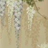 WISTERIA BLOOM – Image 6