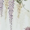 WISTERIA BLOOM – Image 3