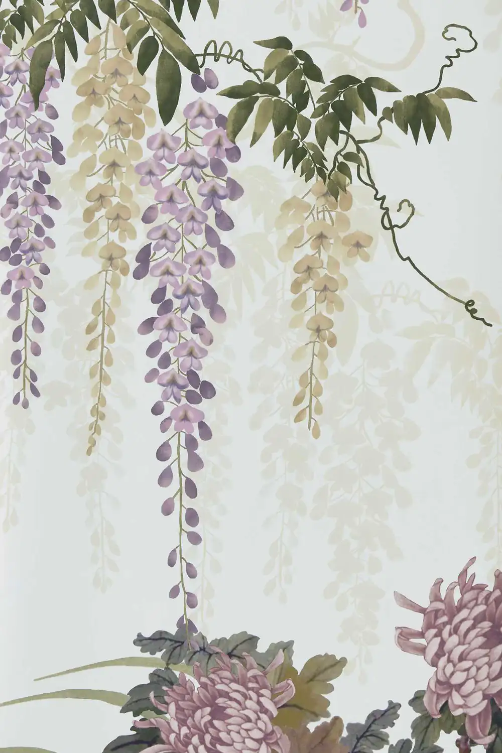 WISTERIA BLOOM – Image 3