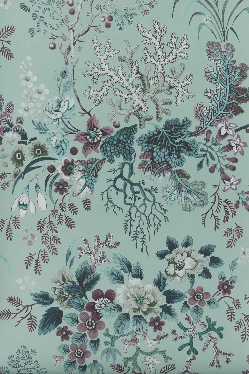 KILBURN'S CORAL – Image 6