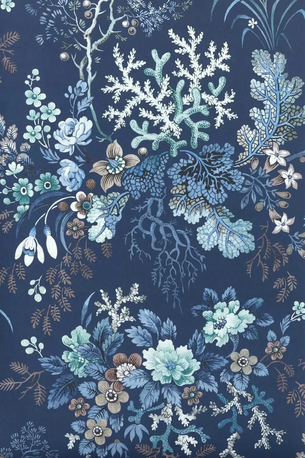 KILBURN'S CORAL – Image 4