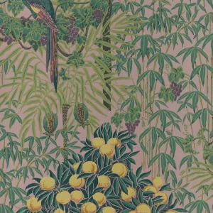 Alternative view of MACAW