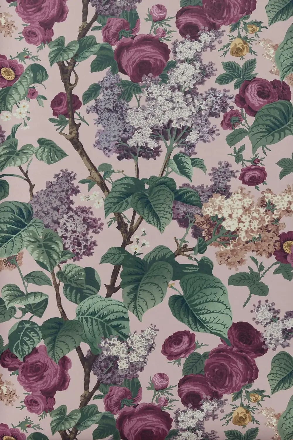 FLORIBUNDA – Image 8