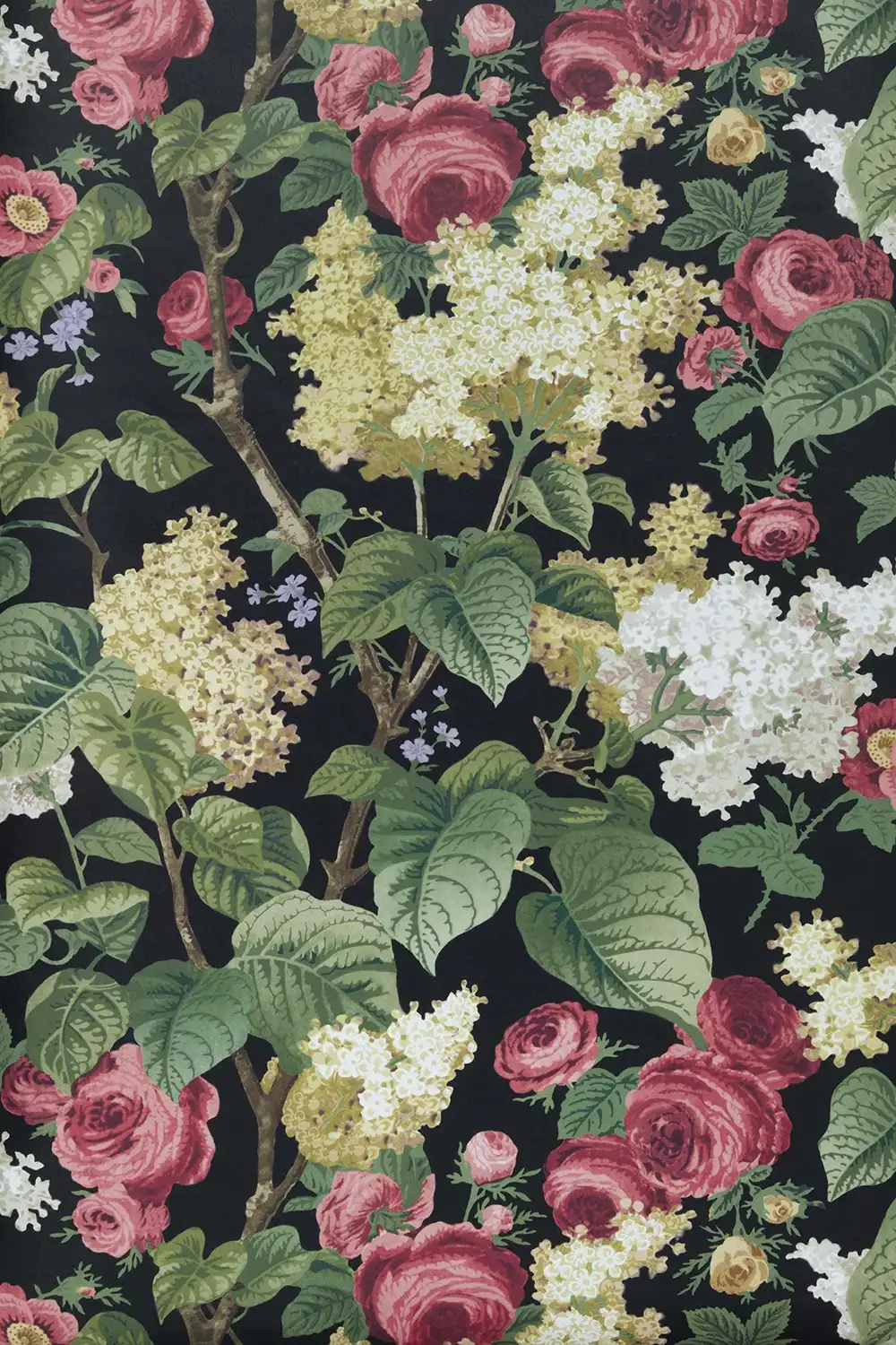 FLORIBUNDA – Image 4