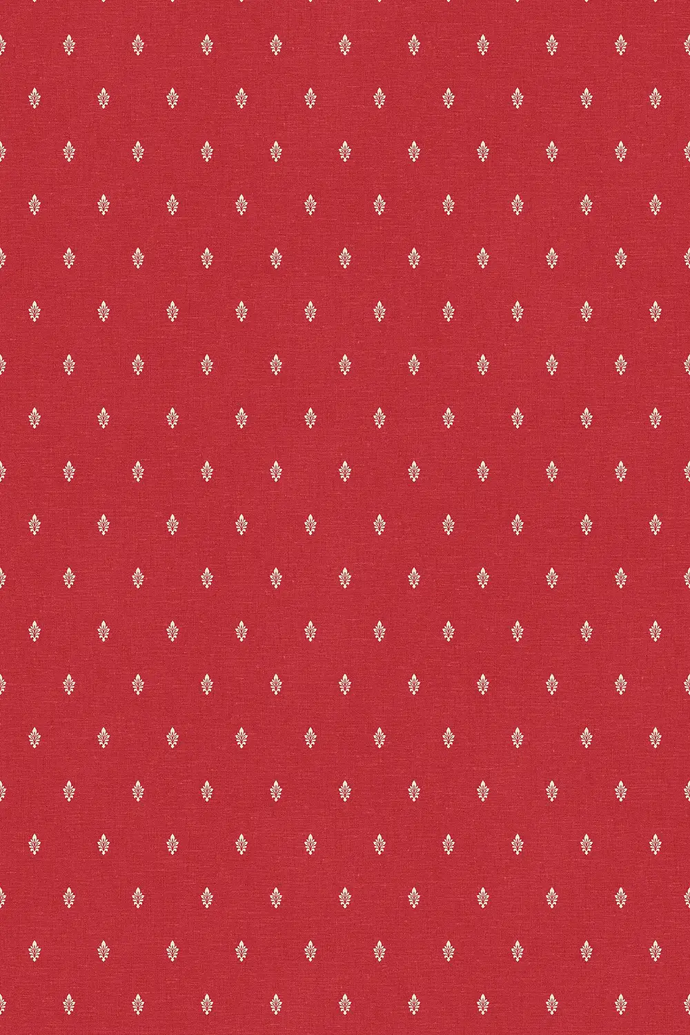 PETITE FEUILLE D’ACANTHE – Image 2