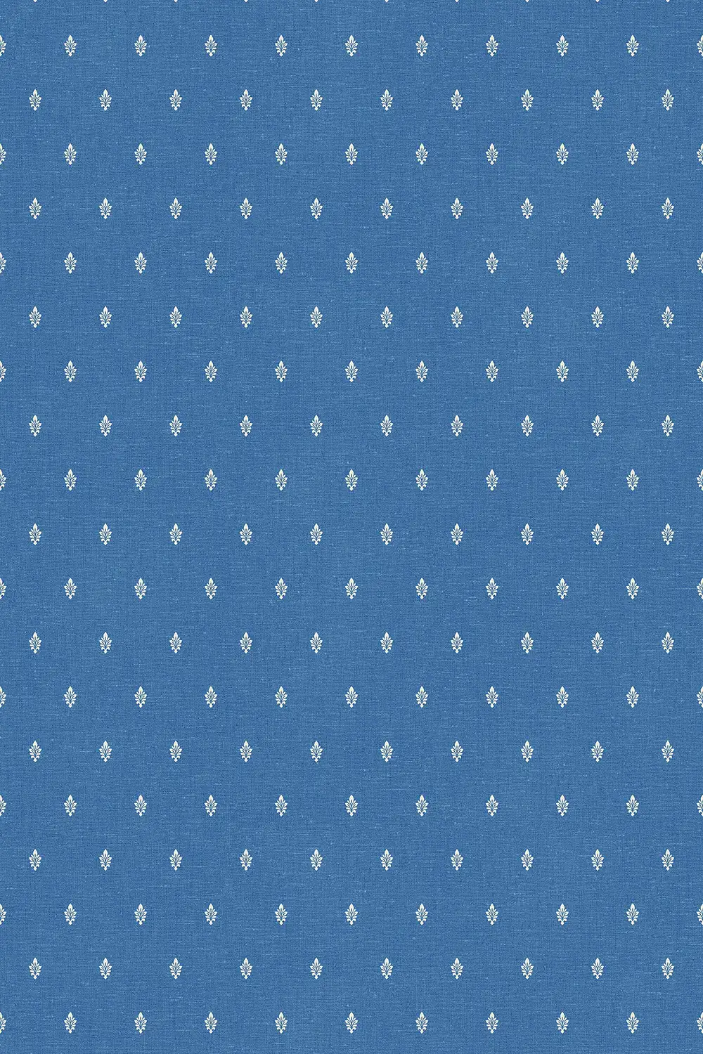 PETITE FEUILLE D’ACANTHE – Image 4