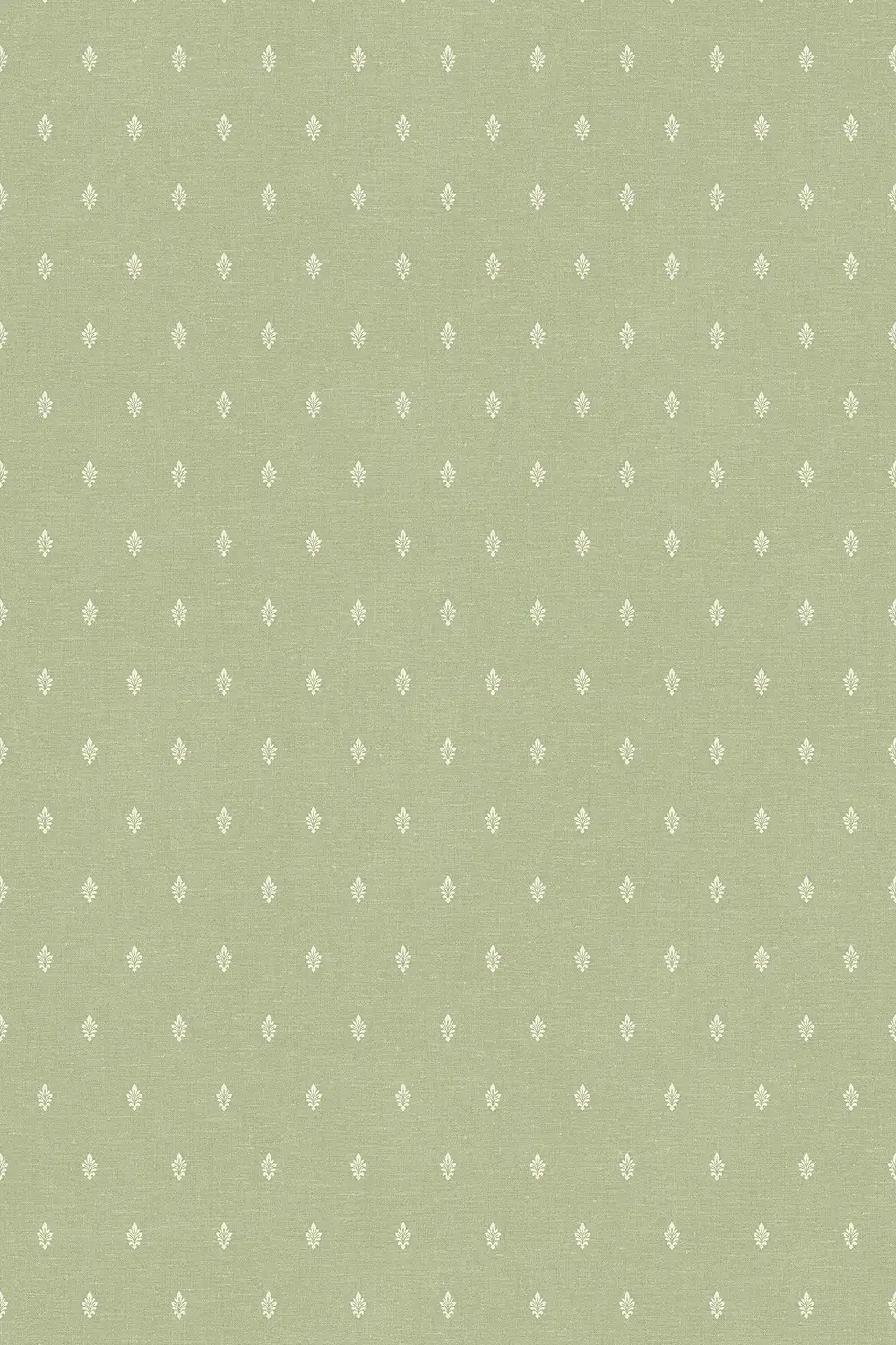 PETITE FEUILLE D’ACANTHE – Image 6