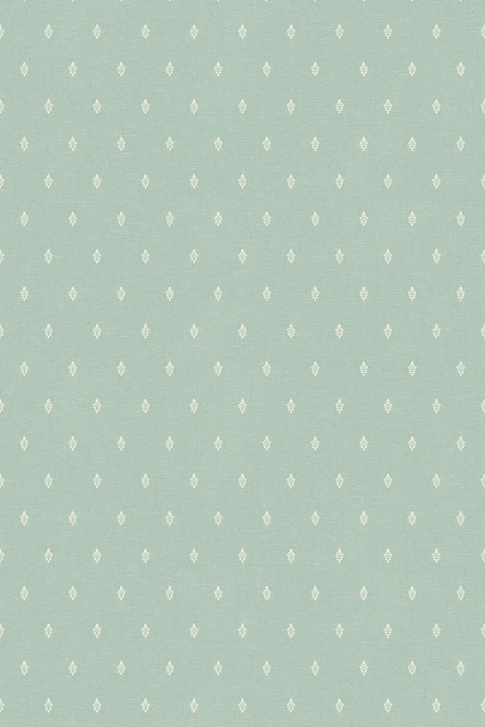 PETITE FEUILLE D’ACANTHE – Image 8