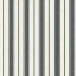 Alternative view of ELIOTT • RAYURE