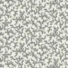 CORAIL • BRANCHE – Image 2