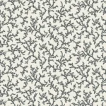 Alternative view of CORAIL • BRANCHE