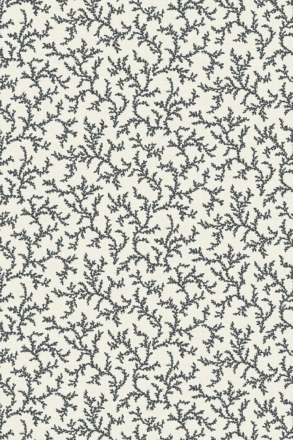 CORAIL • BRANCHE – Image 2