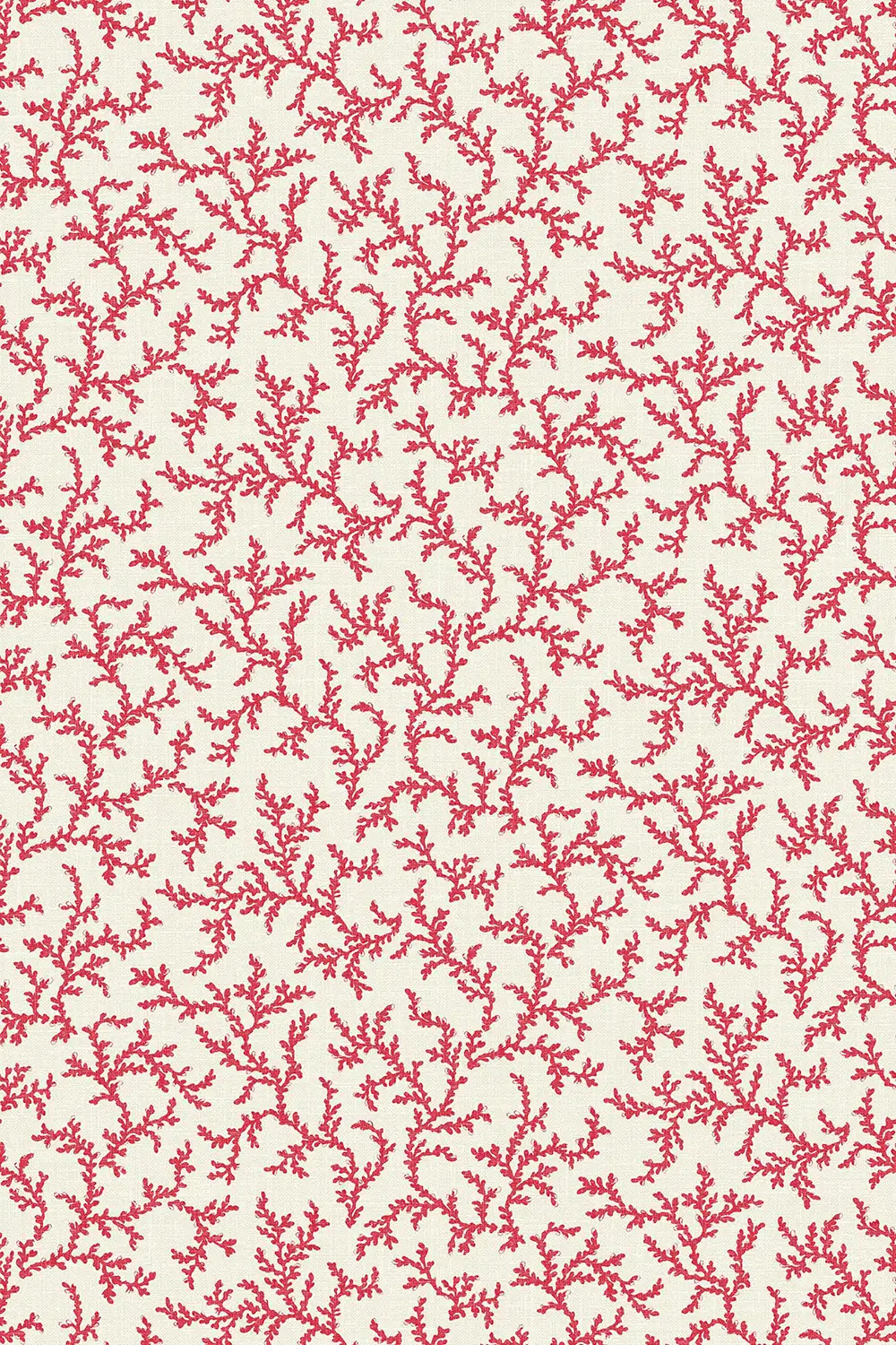CORAIL • BRANCHE – Image 4