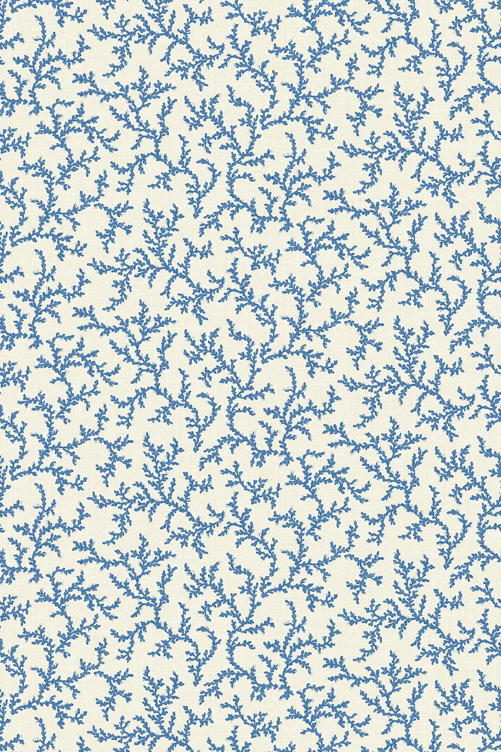 CORAIL • BRANCHE – Image 6