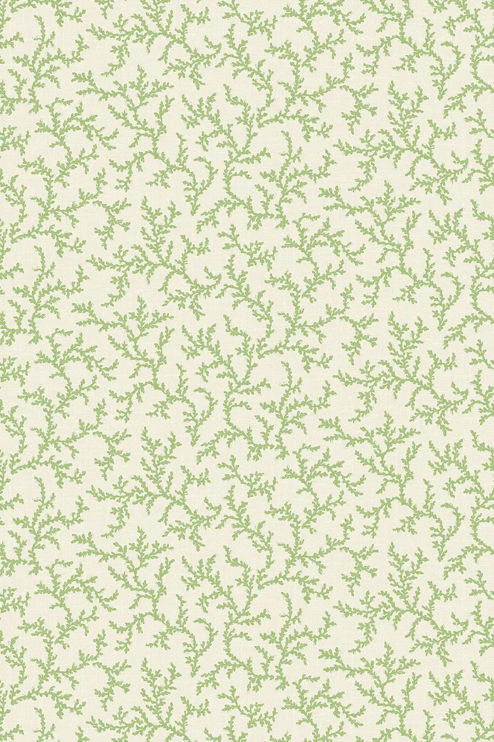 CORAIL • BRANCHE – Image 8