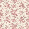ANEMONE – Image 2
