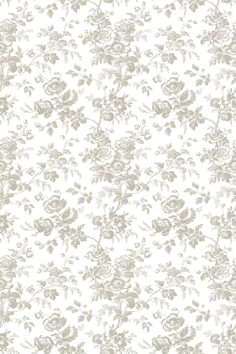 ANEMONE – Image 4