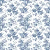 ANEMONE – Image 6