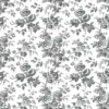 ANEMONE – Image 10
