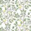 LIMONCELLO – Image 2