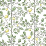 Alternative view of LIMONCELLO