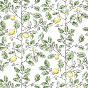 Alternative view of LIMONCELLO