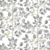 LIMONCELLO – Image 4