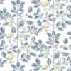 LIMONCELLO – Image 6