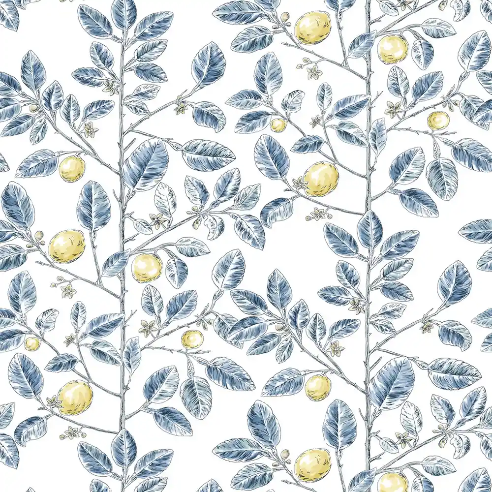 LIMONCELLO – Image 6