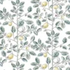 LIMONCELLO – Image 8