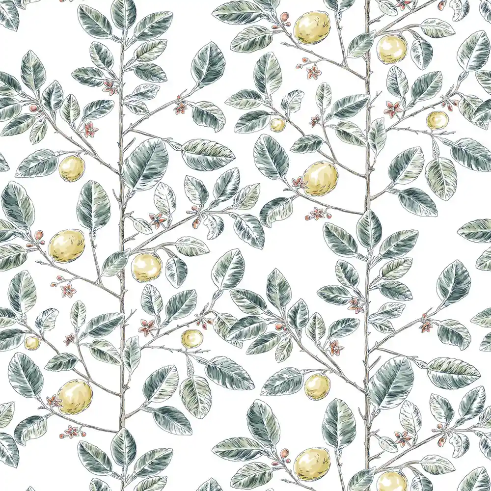 LIMONCELLO – Image 8