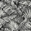 PALM COVE – Image 2
