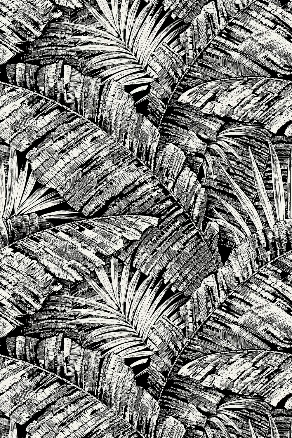 PALM COVE – Image 2
