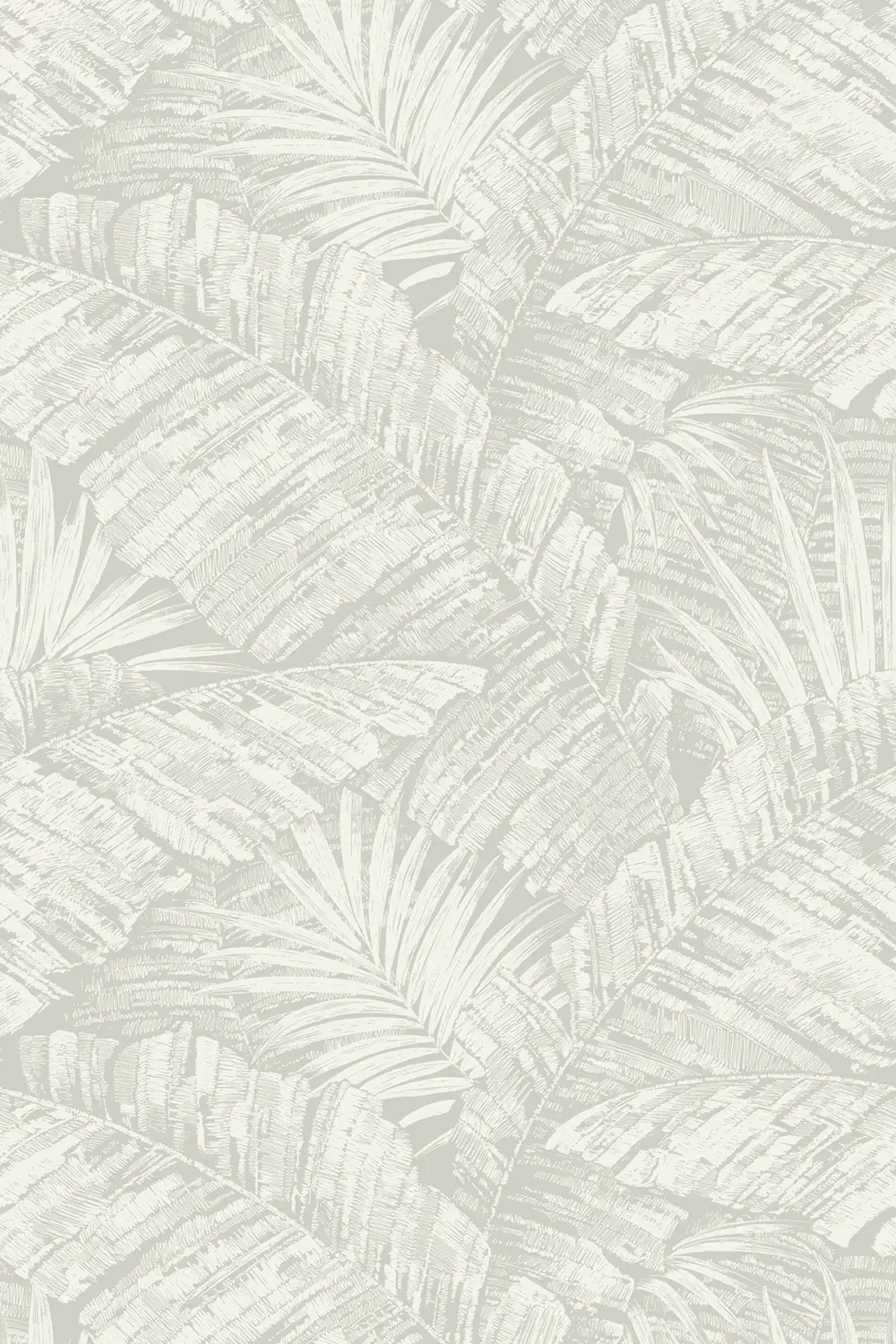 PALM COVE – Image 4