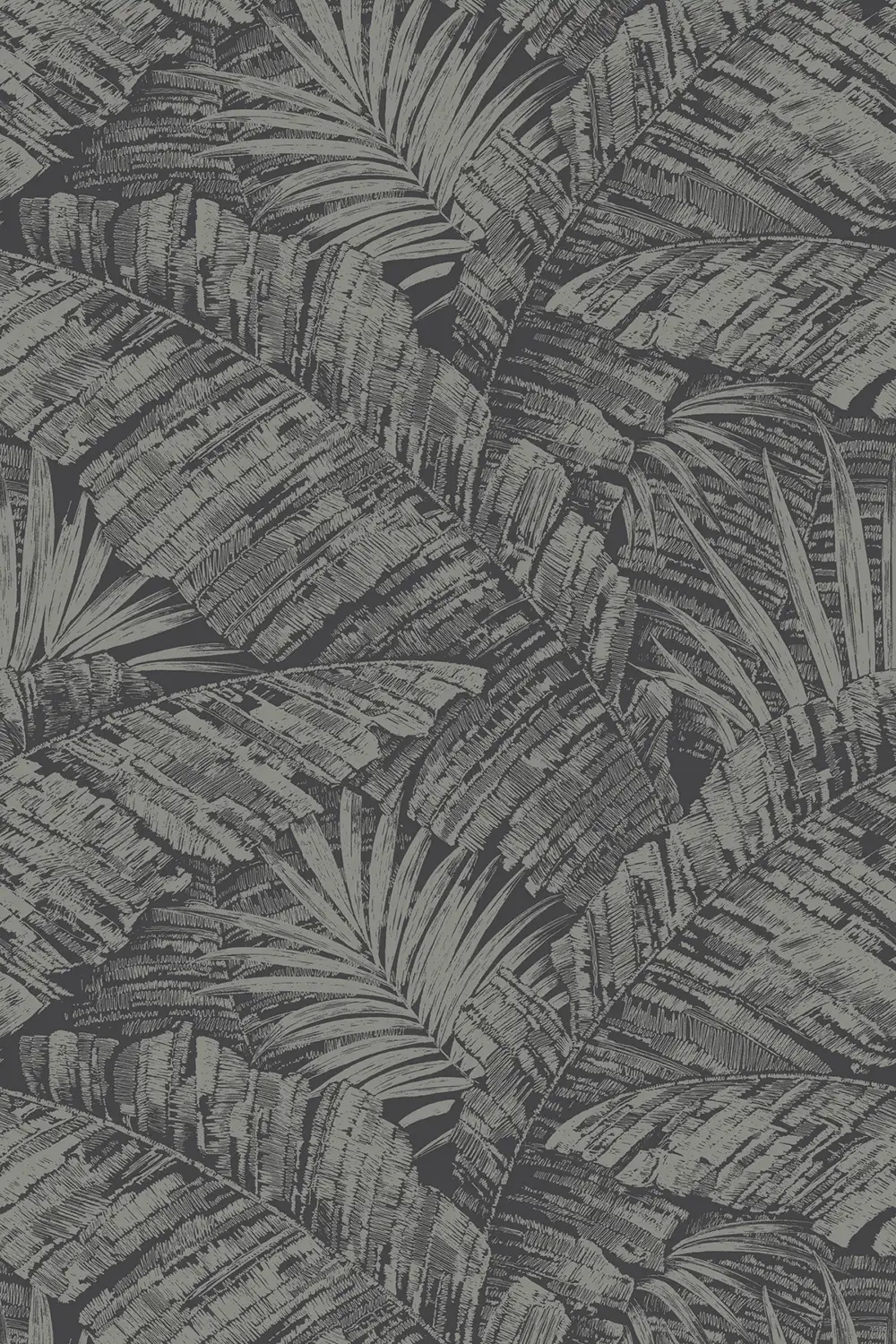 PALM COVE – Image 6