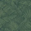 PALM COVE – Image 8