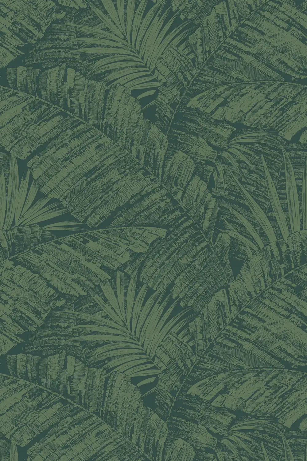 PALM COVE – Image 8