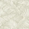 PALM COVE – Image 12