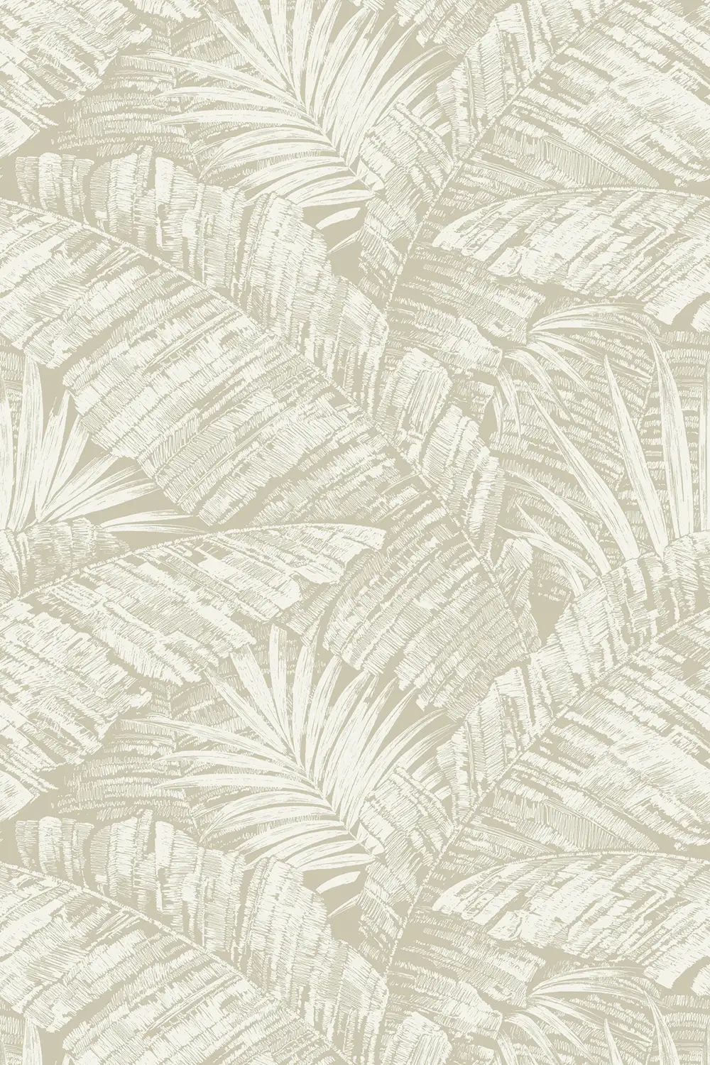 PALM COVE – Image 12