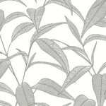 Alternative view of CORDILA • PLANTE ÉLANCÉE